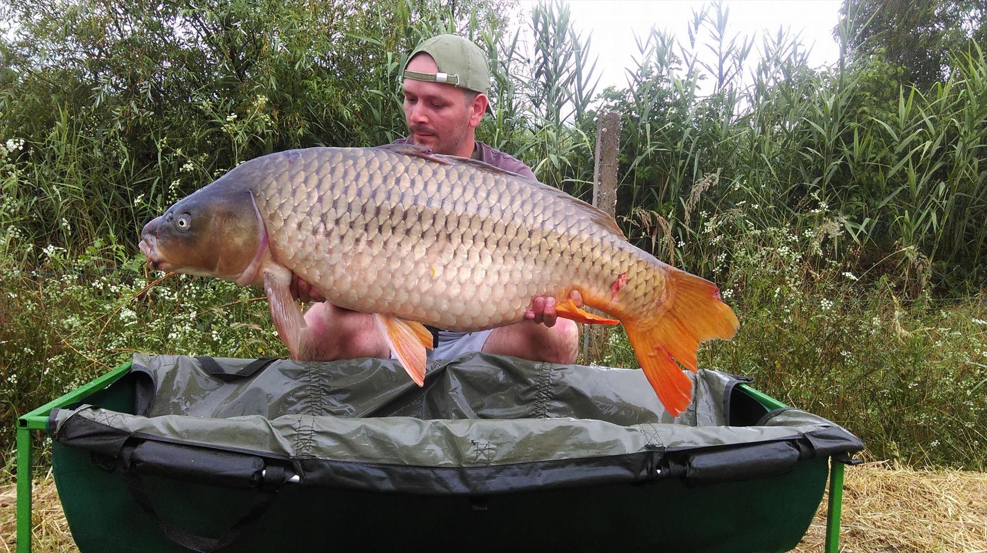 capturi 2016 - 20,6 kg